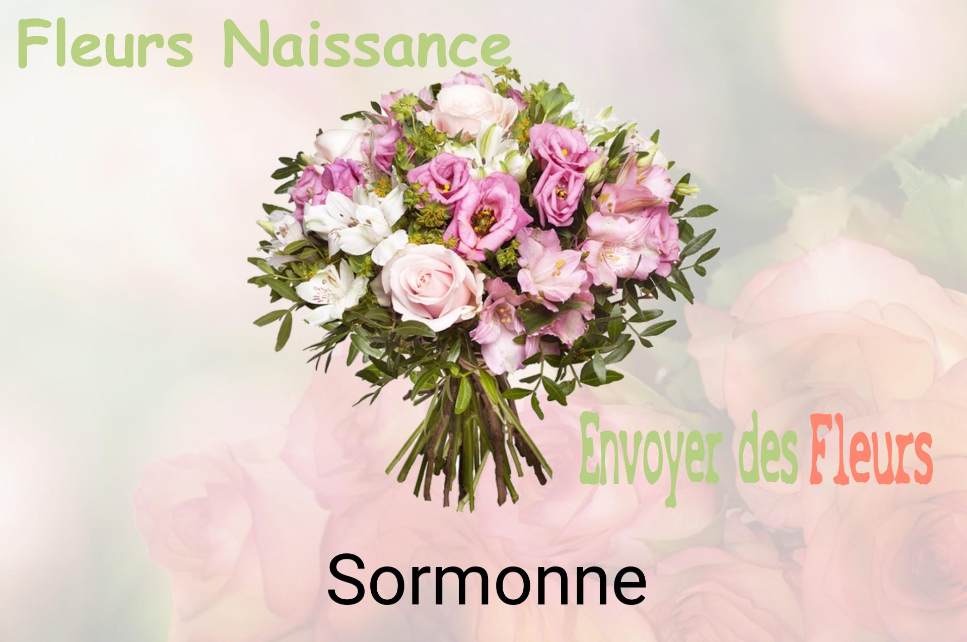 Bouquet de fleurs de naissance livré à Sormonne